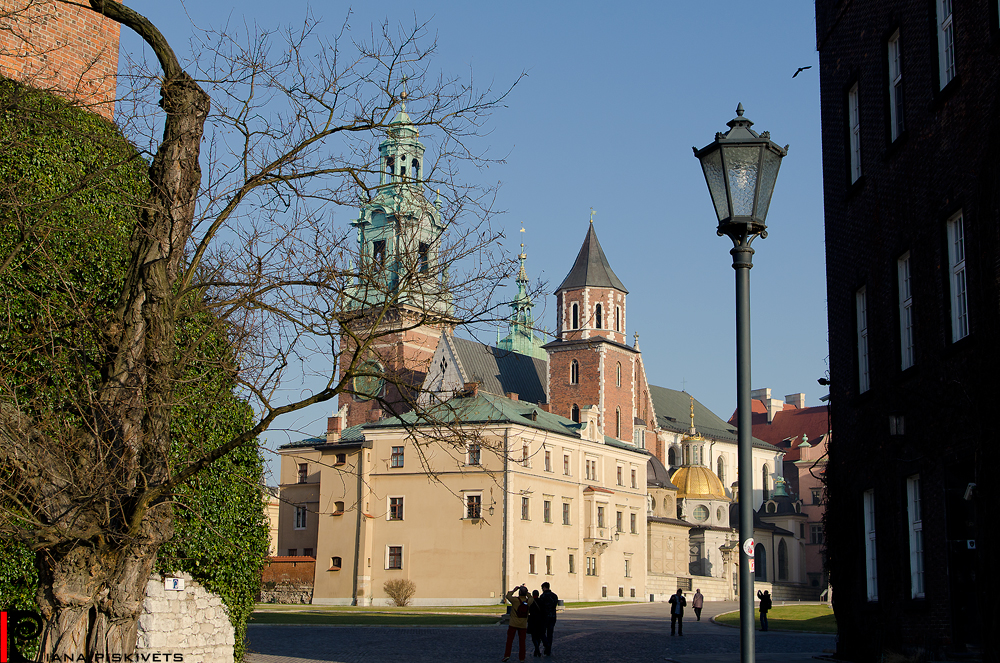 Fotograf ślub wesele Warszawa i okolicy boże narodzenie szopki kraków szopki w krakowie dekoracje świąteczne święta Poczuj magię świąt – najlepiej na Rynku w Krakowie Świąteczna choinka stanęła na krakowskim Rynku Obok kiermasz bożonarodzeniowy Wesołych Świąt Bożego Narodzenia Szopka na Wawelu