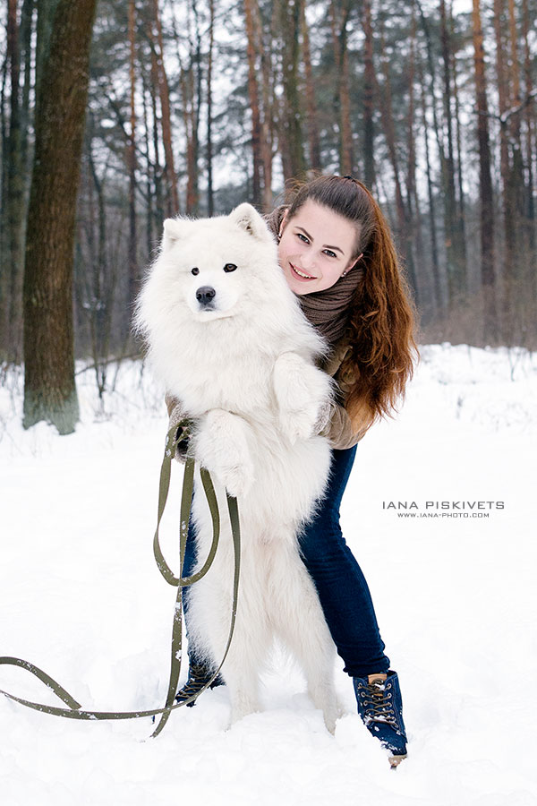 Професійна фотосесія, фотозйомка з тваринами. Фотосесія з собаками, кішками, кіньми, хаскі. Фотосесія з собакою хаскі, єнотовидного собакою, лисом, цікаві ідеї для зйомки собак. Як провести фотосесію з домашнім улюбленцем? Ідеї для дитячих фотосесій з собакою і студійних зйомок.