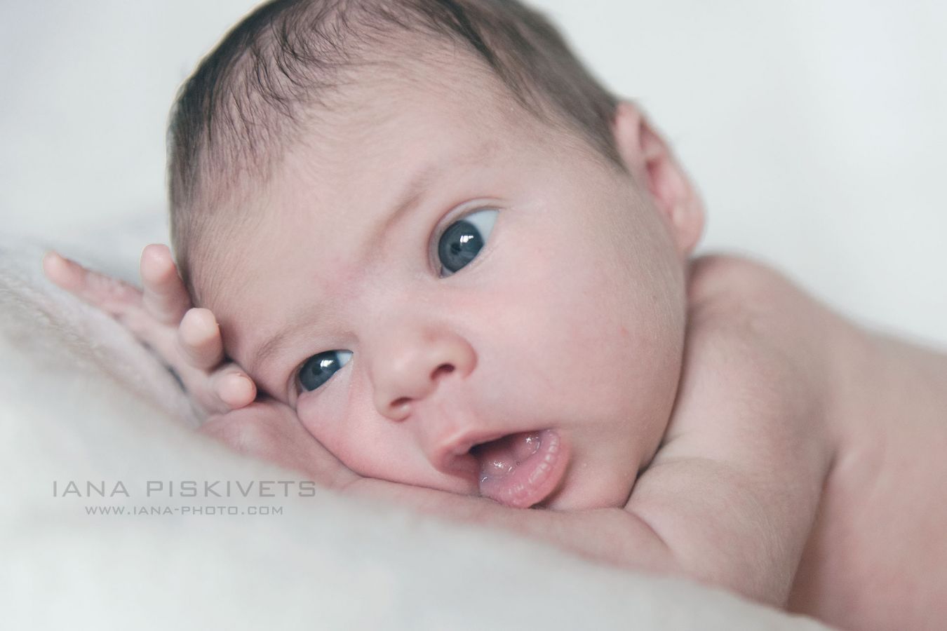 Newborn Baby Photoshoot