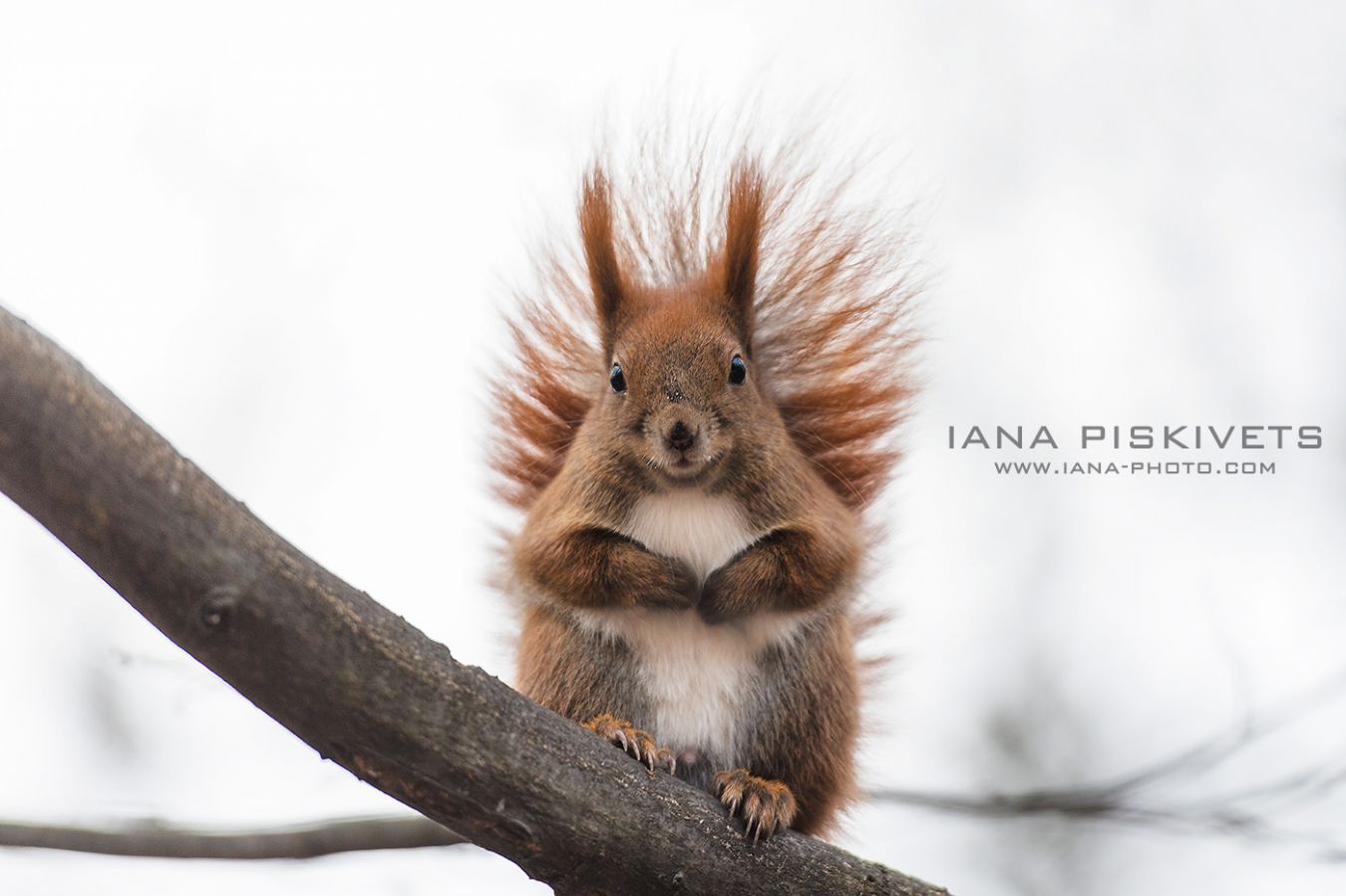 How to Pose at a Photo Shoot?