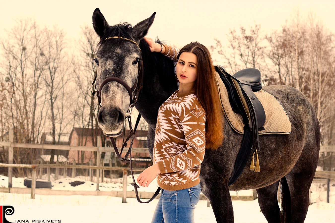 Photoshoot with horses