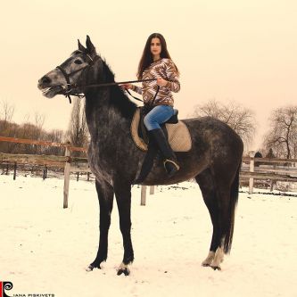 On horse