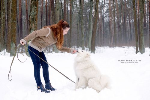 Красивая девушка с собакой - дама с собачкой