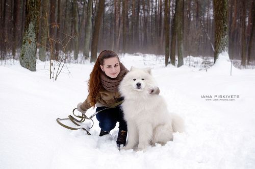 Photo session with a dog